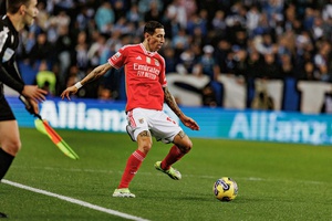 "O que se tem passado nos jogos do Benfica em casa merece uma boa investigação"