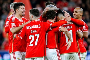 "Há muito potencial no Benfica para os jogadores crescerem e reforçarem o seu valor"