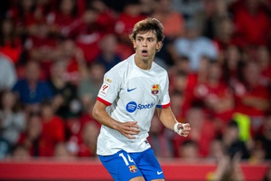 João Félix no Benfica? "Espero que não hipotequemos o futuro do clube"