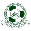 Vilarinho FC