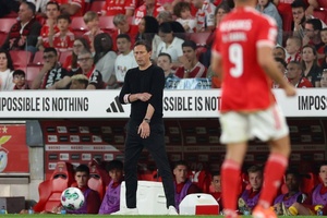 "Schmidt precisa que o Benfica acredite no seu estilo. Dessa forma, voltará a ser campeão"