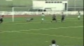 Futebol 365