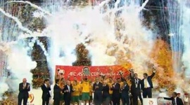 Taça Asiática: Rep. Coreia 1 - 2 a.p Austrália (2015)