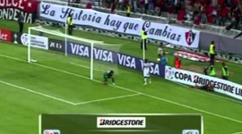 Futebol 365