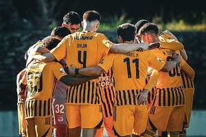 II Liga: Lusitânia de Lourosa recebe Sporting B em Gaia