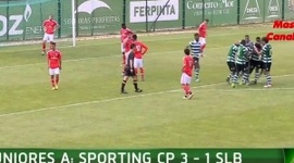 Juniores A S19 I Divisão: Sporting 3 - 1 Benfica (2015-2016)
