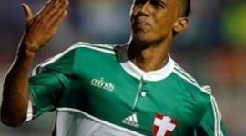 Brasileirão: Palmeiras 1 - 0 Coritiba (2014)